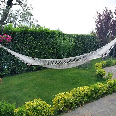 Trullo Al Monte Bed & Breakfast
